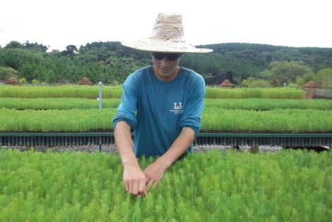 imaflora