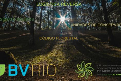 BVRio