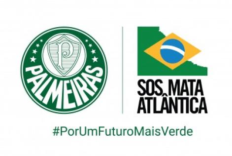 palmeiras