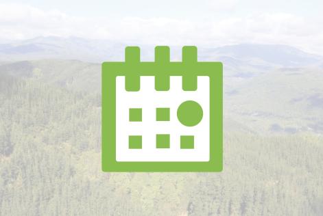 consulta