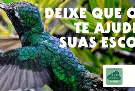 Florestas para Todos para Sempre