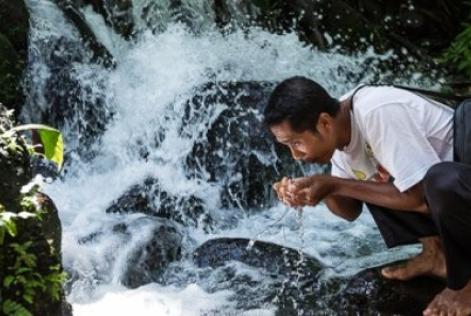 Novo procedimento de serviços ecossistêmicos