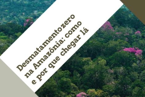 relatorio desmatamento zero