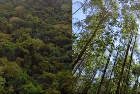 consulta padroes nacionais