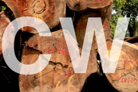 consulta estrategia cw e webinars