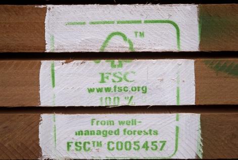 Gabão firma compromisso com manejo florestal responsável