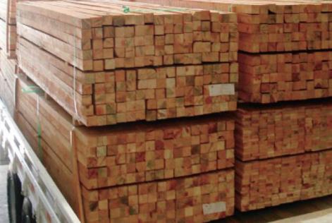 pesquisa para detentores de certificado CoC