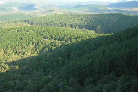 evento intensificação sustentável