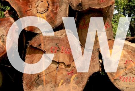 atualização madeira controlada