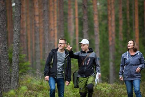 parceria FSC e Stora Enso