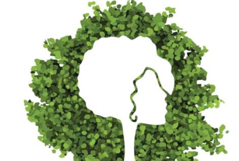 Rede Mulher Florestal