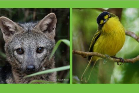 Dia da Biodiversidade