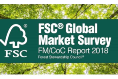 relatorio suplementar