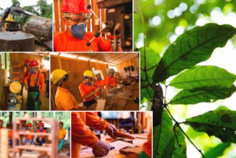 campanha cooperação