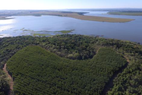 Duratex - 25 anos certificação