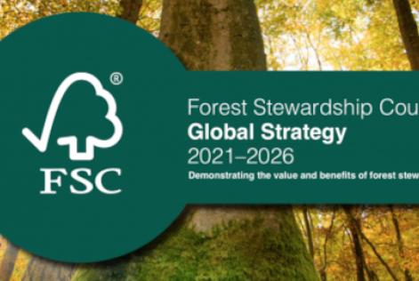 Estratégia Global do FSC