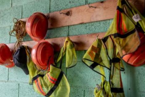 Novos requisitos essenciais de trabalho do FSC