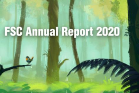 Relatório Anual FSC IC 2020