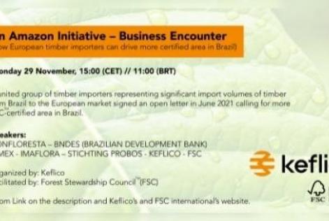 convite webinar 29-11