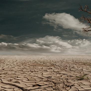 climate